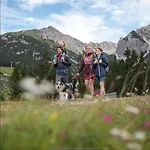 Lodge The Alpine No 7 *