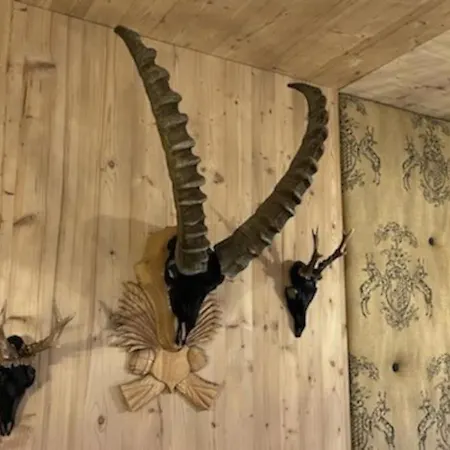 אכסניה The Alpine No 7 ריית ביי סיפלד