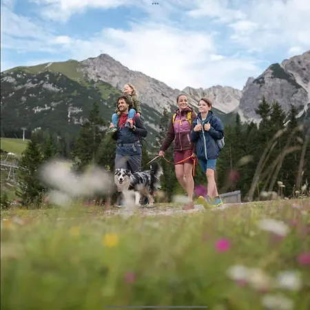 Деревянный коттедж The Alpine No 7 *