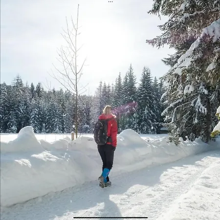 The Alpine No 7 Деревянный коттедж