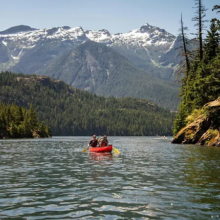 The Alpine No 7 ריית ביי סיפלד