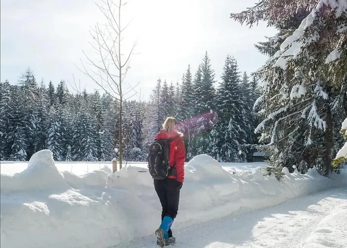 The Alpine No 7 Lodge