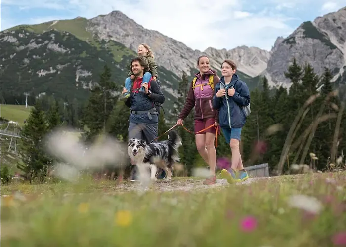 Alojamento de Turismo Selvagem The Alpine No 7 *