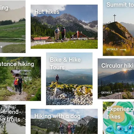 The Alpine No 7 Hytte