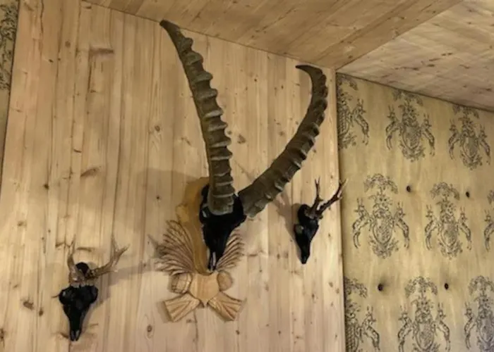 Hytte The Alpine No 7 Reith bei Seefeld