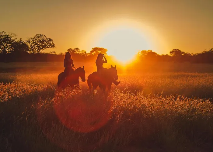 The Alpine No 7 Hytte Reith bei Seefeld